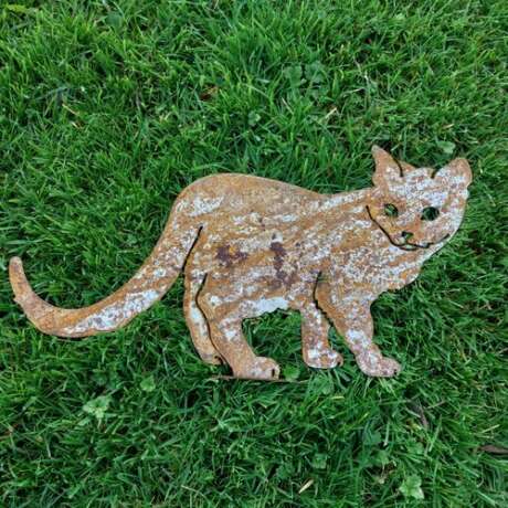 Cat Top Post