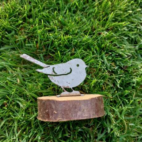 Mini Robin Top Post